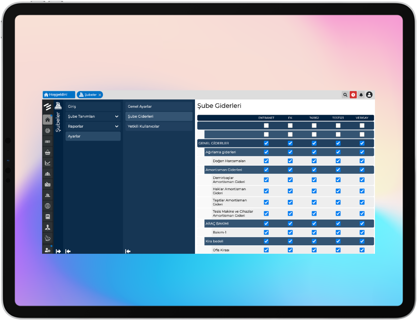Şubelere Göre Gelir Gider Ayrımı